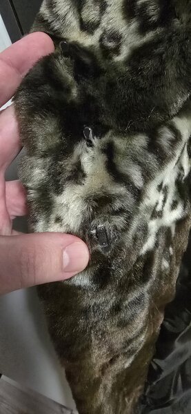 De vanzare cojoc (blana naturala).